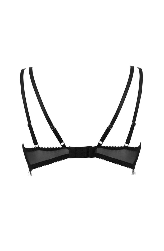 Confidante Eyelash Lace Decorated Underwired Push-Up Bra (Forever Young Collection)